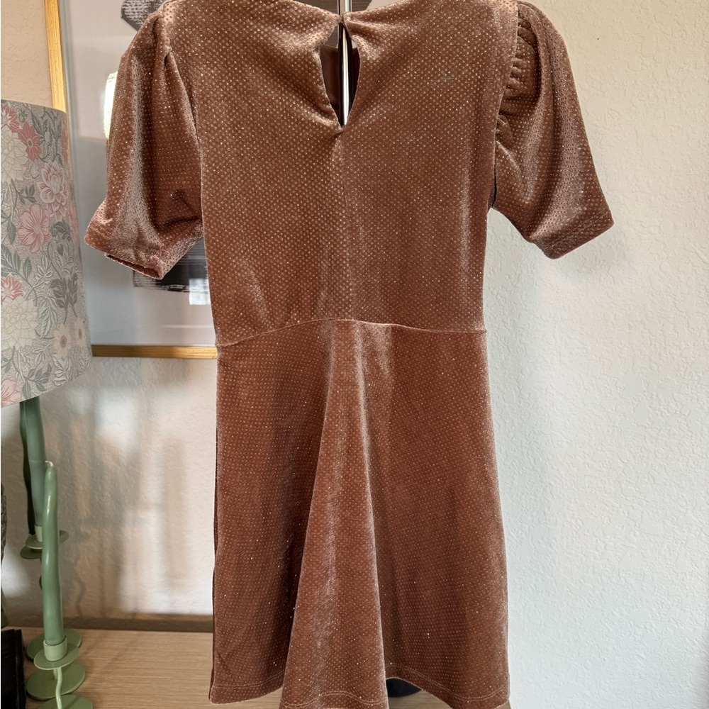 Brown Velvet Dress